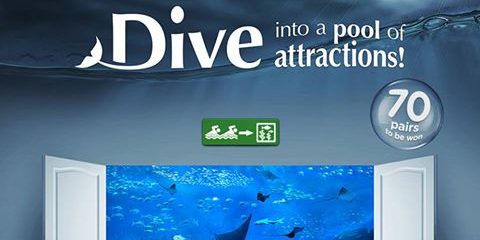 7-Eleven Singapore Scratch & Win Passes to S.E.A. Aquarium or Adventure Cove Contest ends 24 Jan 2017