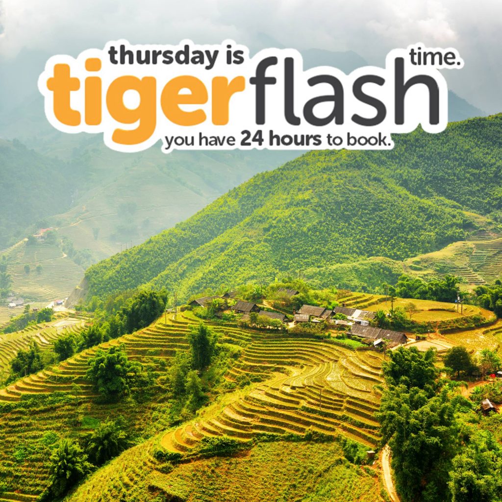 Tigerair Singapore Thursday Tiger Flash Time 24 Hours Promotion 18-19 May 2017 | Why Not Deals