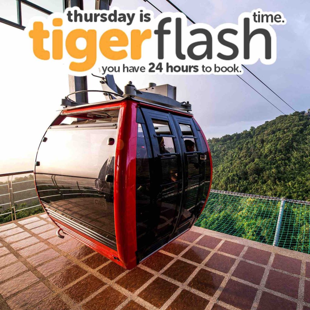 Tigerair Singapore Thursday Tiger Flash Time 24 Hours Promotion 29-30 Jun 2017 | Why Not Deals 1