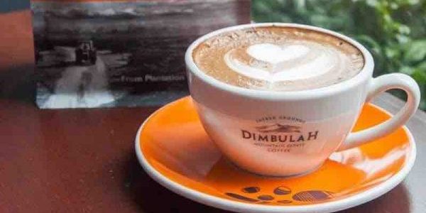 Dimbulah Singapore FREE Biscotti with Every Cup of Piccolo Latte NS50 Promotion 1-31 Aug 2017