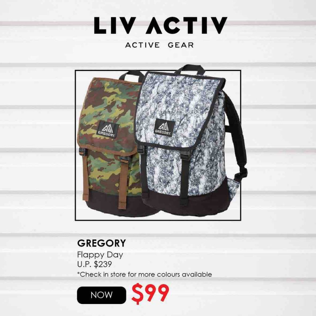 gregory technical backpack liv activ