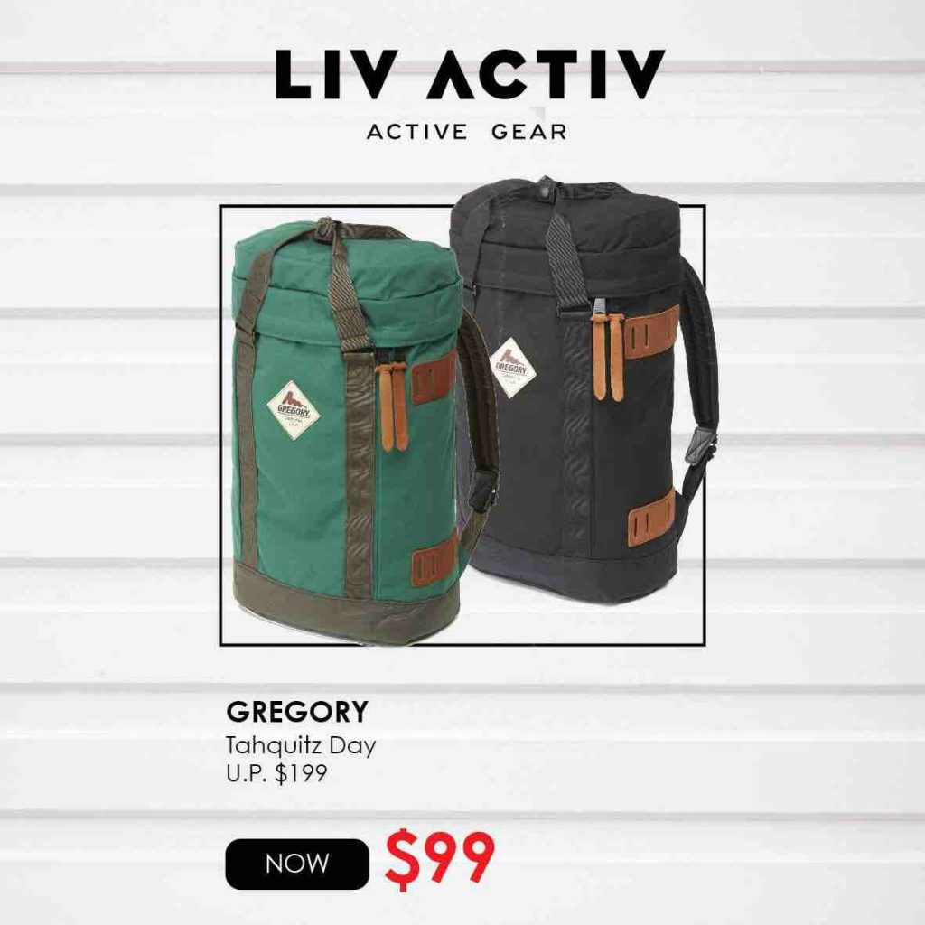gregory technical backpack liv activ