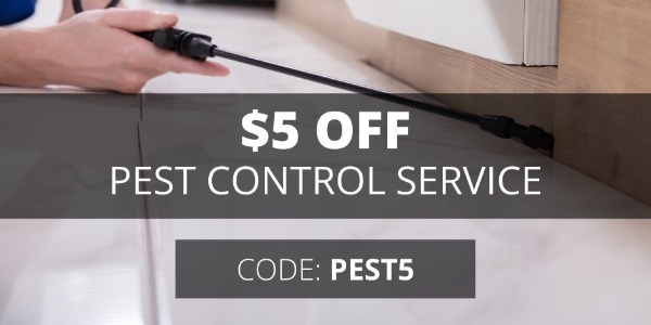 sendhelper Singapore $5 OFF PEST CONTROL SERVICE