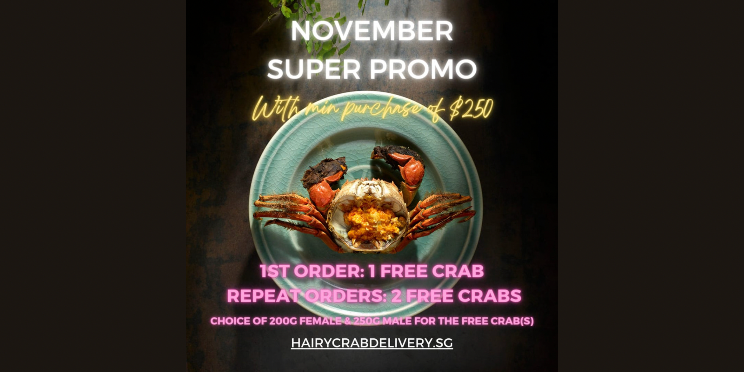 Enjoy up to 2 FREE Hairy Crabs with Hairy Crab Singapore!